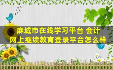 麻城市在线学习平台 会计网上继续教育登录平台怎么样